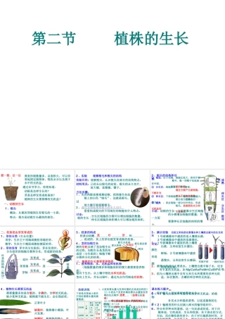 2012年秋七年级生物上册 第三单元 第二章 第二节 植株的生长课件 新人教版