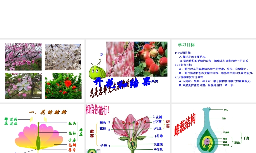 2012年秋七年级生物上册 第三单元 第二章 第三节 开花和结果课件 新人教版