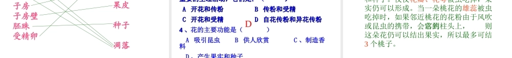 2012年秋七年级生物上册 第三单元 第二章 第三节 开花和结果课件 新人教版