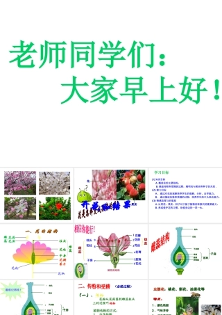 2012年秋七年级生物上册 第三单元 第二章 第三节 开花和结果课件 新人教版