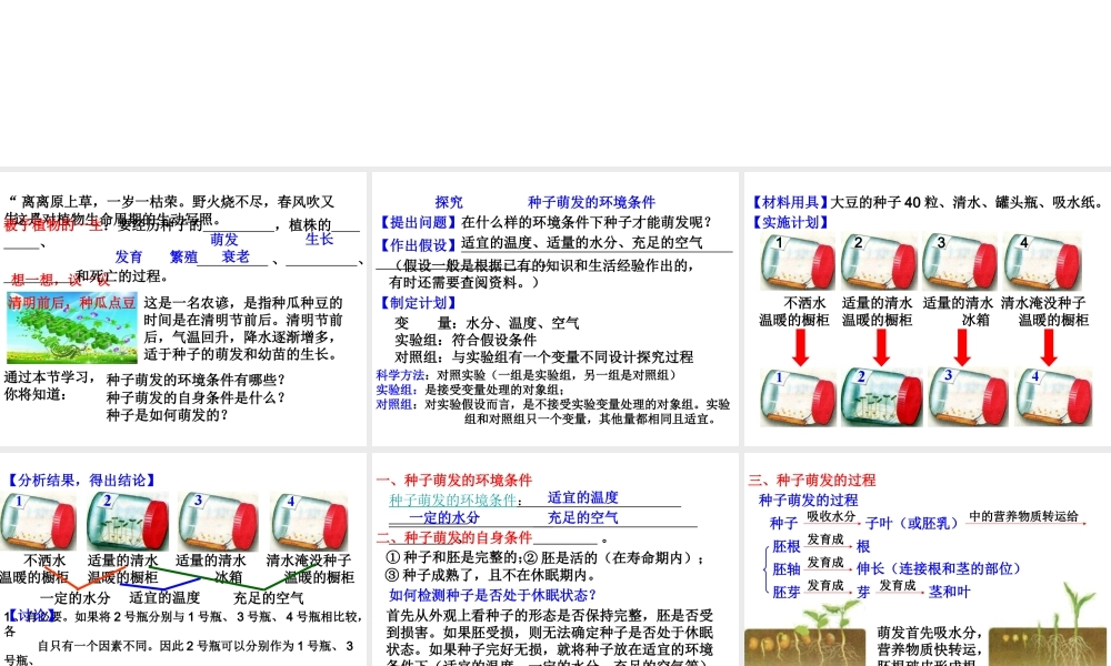2012年秋七年级生物上册 第三单元 第二章 第一节 种子的萌发课件 新人教版