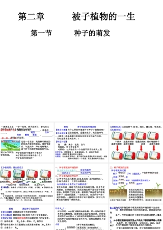 2012年秋七年级生物上册 第三单元 第二章 第一节 种子的萌发课件 新人教版