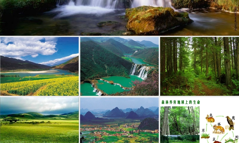 2012年秋七年级生物上册 第三单元 第六章 爱护植被，绿化祖国课件 新人教版