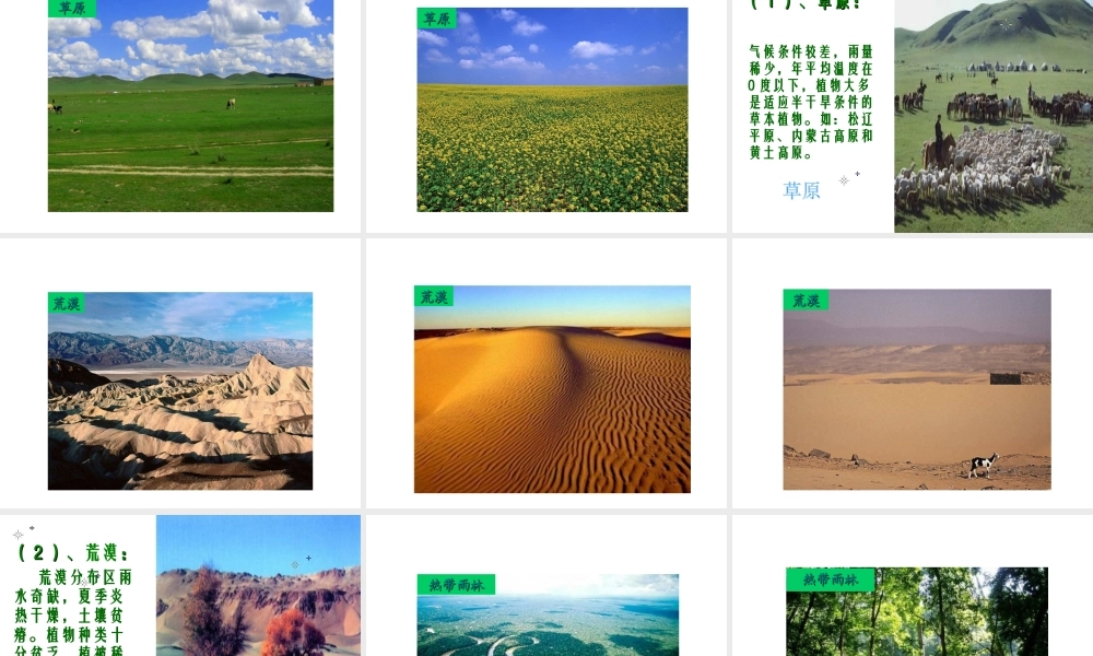 2012年秋七年级生物上册 第三单元 第六章 爱护植被，绿化祖国课件 新人教版