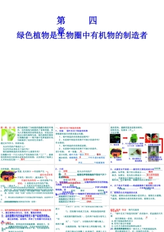 2012年秋七年级生物上册 第三单元 第四章 色植物是生物圈中有机物的制造者课件 新人教版