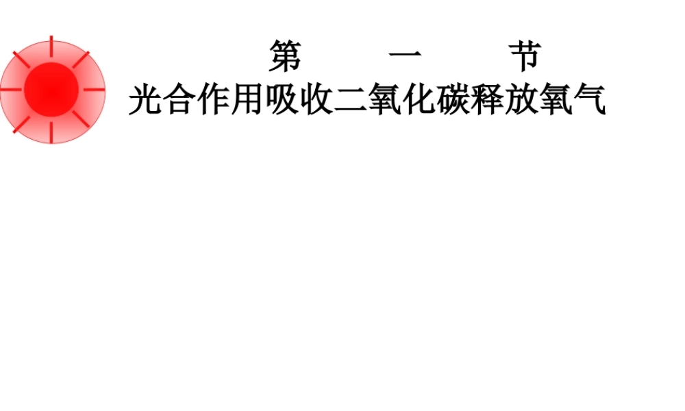 2012年秋七年级生物上册 第三单元 第五章 第一节 光合作用吸收二氧化碳释放氧气课件 新人教版