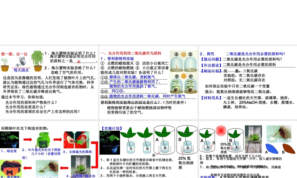 2012年秋七年级生物上册 第三单元 第五章 第一节 光合作用吸收二氧化碳释放氧气课件 新人教版