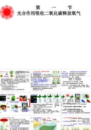 2012年秋七年级生物上册 第三单元 第五章 第一节 光合作用吸收二氧化碳释放氧气课件 新人教版