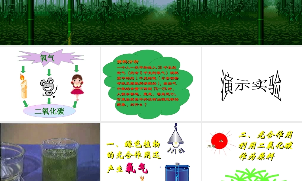 2012年秋七年级生物上册 第三单元 第五章 绿色植物与生物圈中的碳氧平衡课件 新人教版