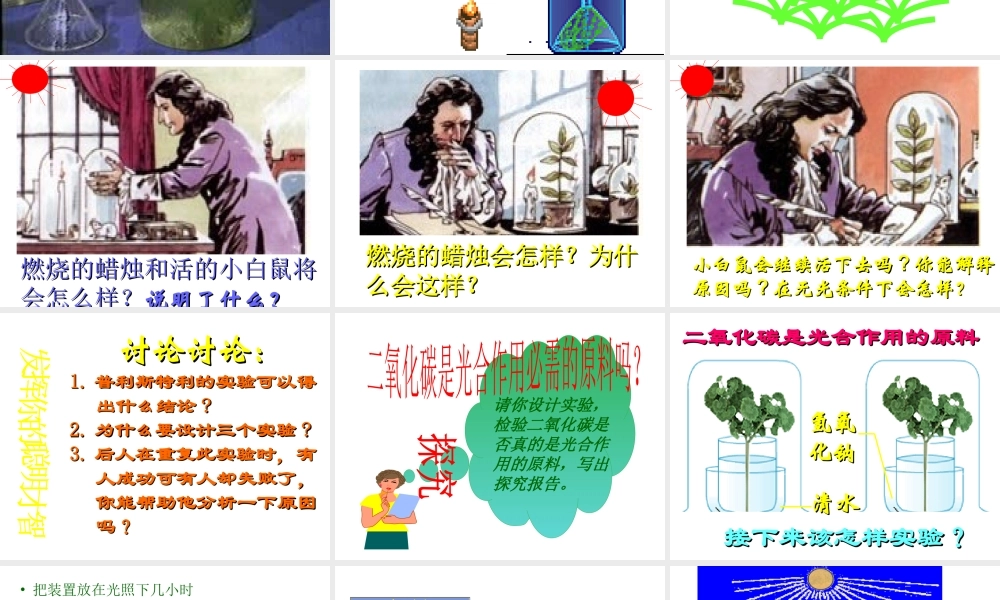 2012年秋七年级生物上册 第三单元 第五章 绿色植物与生物圈中的碳氧平衡课件 新人教版