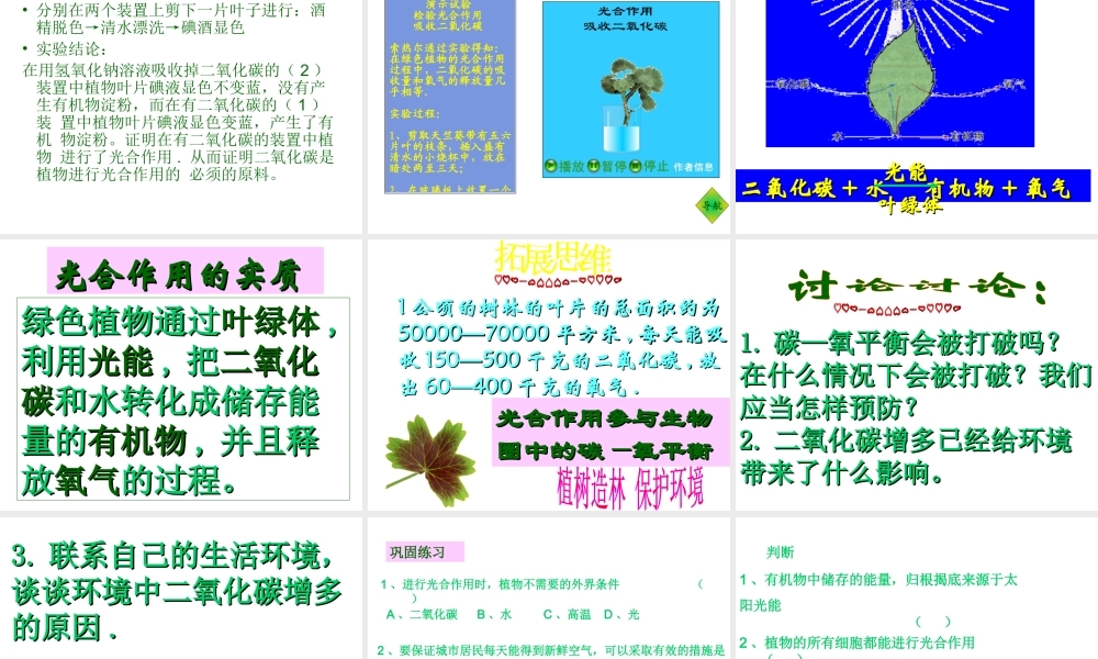 2012年秋七年级生物上册 第三单元 第五章 绿色植物与生物圈中的碳氧平衡课件 新人教版