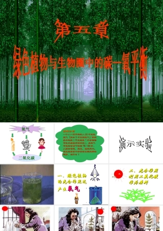 2012年秋七年级生物上册 第三单元 第五章 绿色植物与生物圈中的碳氧平衡课件 新人教版