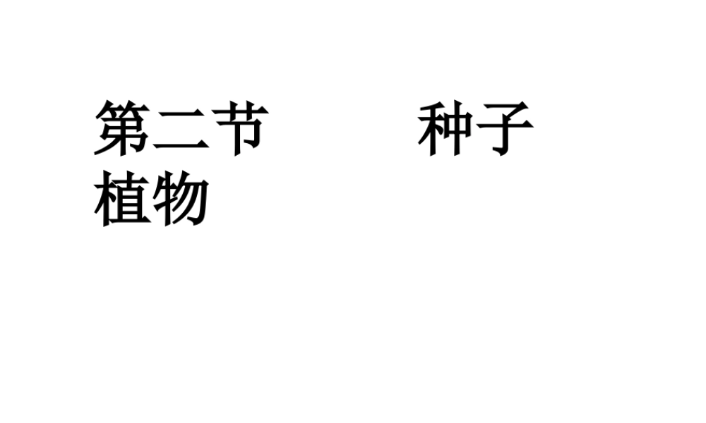 2012年秋七年级生物上册 第三单元 第一章 第二节 种子植物课件 新人教版
