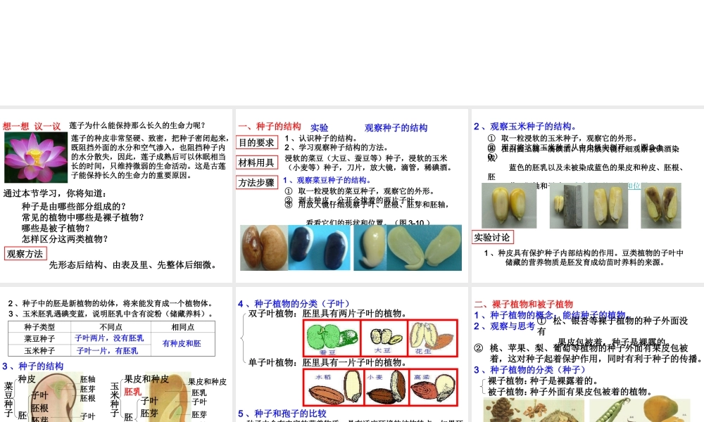 2012年秋七年级生物上册 第三单元 第一章 第二节 种子植物课件 新人教版