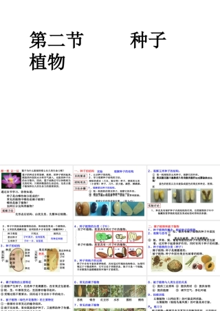 2012年秋七年级生物上册 第三单元 第一章 第二节 种子植物课件 新人教版