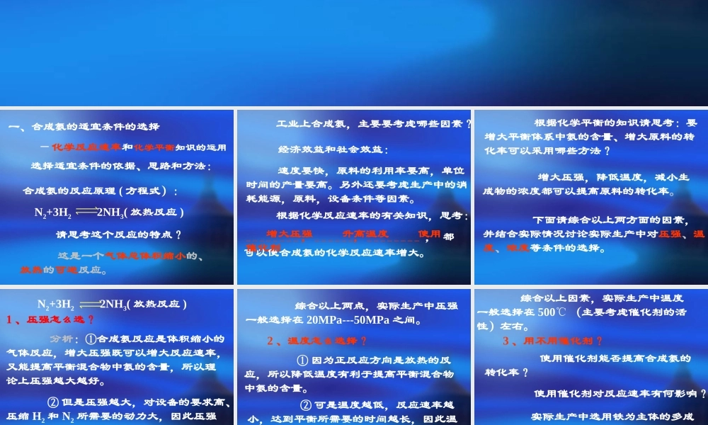 19合成氨条件的选择