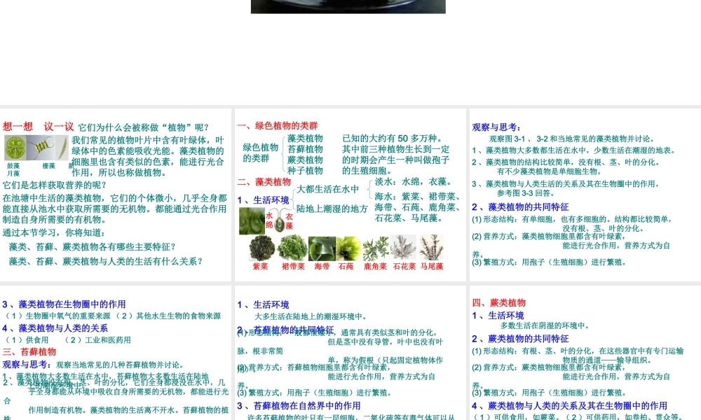 2012年秋七年级生物上册 第三单元 第一章 第一节 藻类、苔藓和蕨类植物课件 新人教版