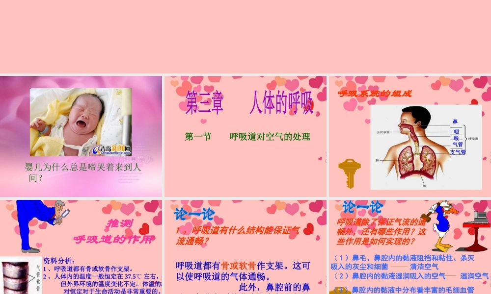 2012年秋七年级生物上册 第三章 第一节 呼吸道对空气的处理课件册 新人教版