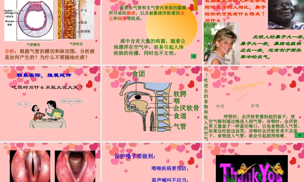 2012年秋七年级生物上册 第三章 第一节 呼吸道对空气的处理课件册 新人教版