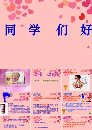 2012年秋七年级生物上册 第三章 第一节 呼吸道对空气的处理课件册 新人教版