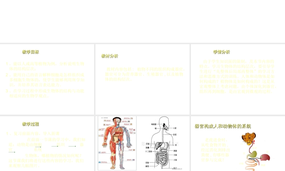 2012年秋七年级生物上册 第四章 第二节 生物体的器官、系统课件 北师大版