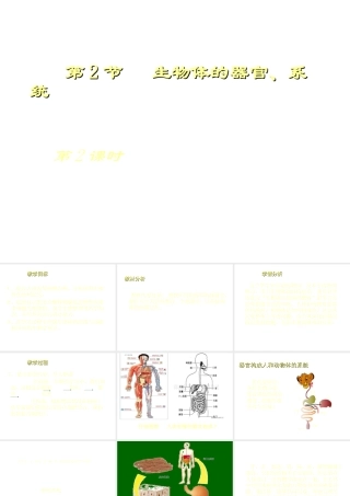 2012年秋七年级生物上册 第四章 第二节 生物体的器官、系统课件 北师大版