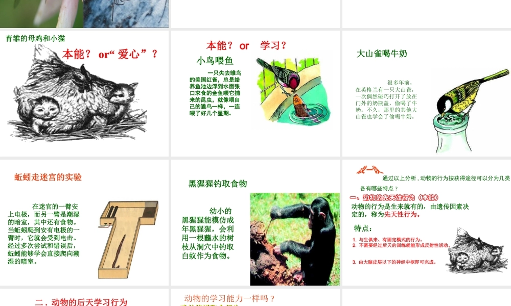 2012年秋七年级生物上册 第一单元 第二章 第二节 动物的行为课件 济南版