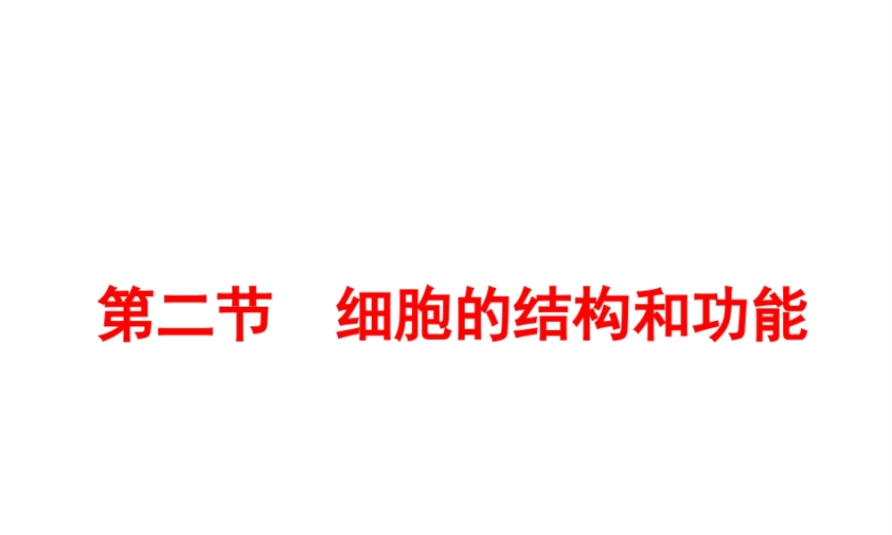 2012年秋七年级生物上册 第一单元 第二章 第二节 细胞的结构和功能课件 济南版