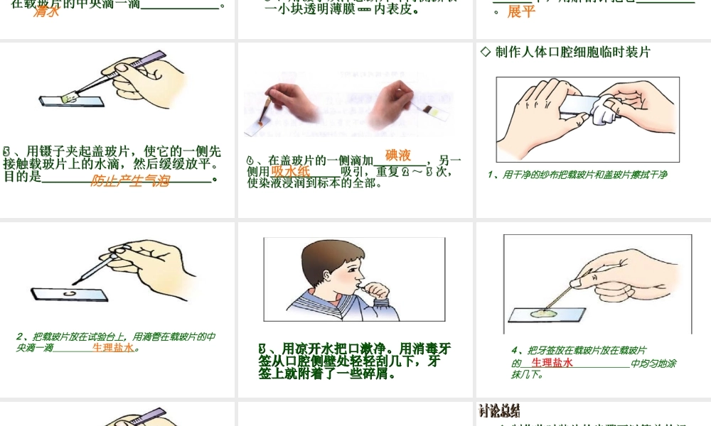 2012年秋七年级生物上册 第一单元 第二章 第二节 细胞的结构和功能课件 济南版