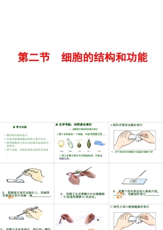 2012年秋七年级生物上册 第一单元 第二章 第二节 细胞的结构和功能课件 济南版
