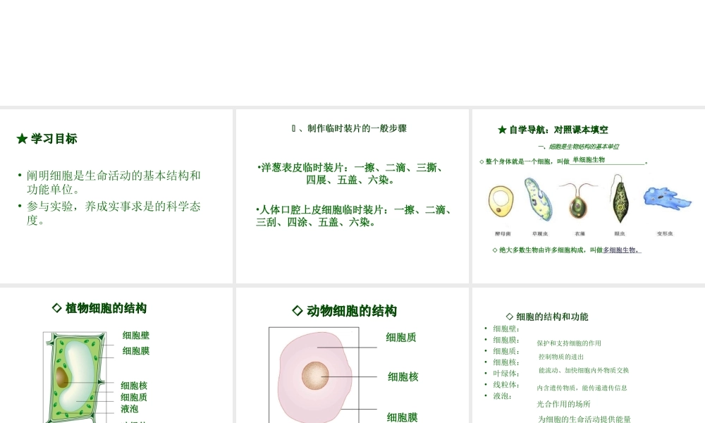 2012年秋七年级生物上册 第一单元 第二章 第二节 细胞的结构和功能课件鲁教版