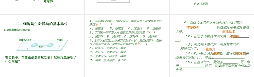2012年秋七年级生物上册 第一单元 第二章 第二节 细胞的结构和功能课件鲁教版