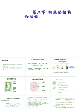 2012年秋七年级生物上册 第一单元 第二章 第二节 细胞的结构和功能课件鲁教版