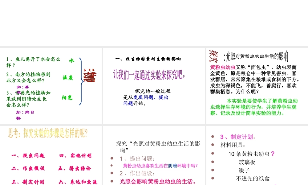 2012年秋七年级生物上册 第一单元 第三章 第二节 环境对生物的作用课件 济南版