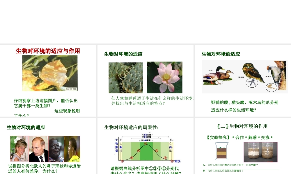 2012年秋七年级生物上册 第一单元 第三章 第三节 生物对环境的适应与作用课件 济南版
