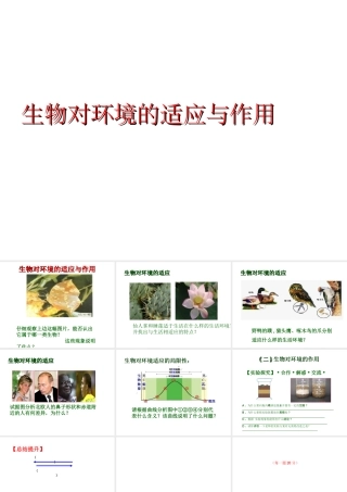 2012年秋七年级生物上册 第一单元 第三章 第三节 生物对环境的适应与作用课件 济南版