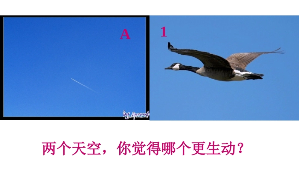 2012年秋七年级生物上册 第一单元 第三章 第一节 生物圈与栖息地课件 济南版