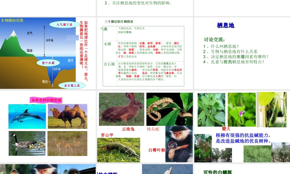 2012年秋七年级生物上册 第一单元 第三章 第一节 生物圈与栖息地课件 济南版