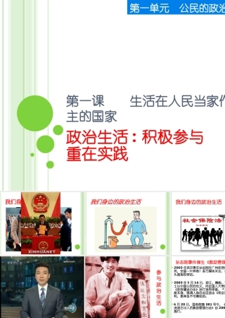 1课3框政治生活