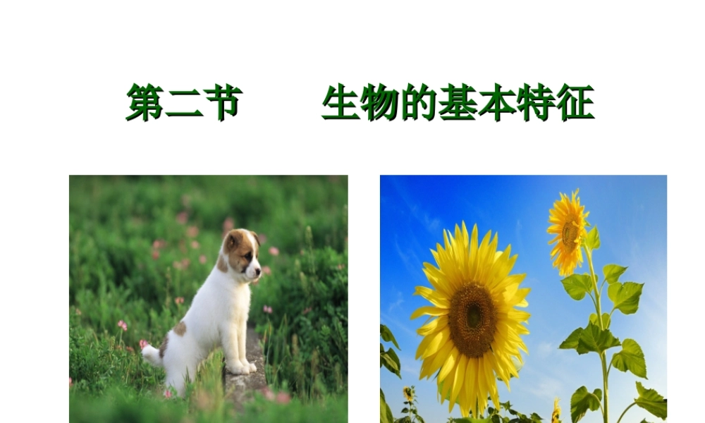 2012年秋七年级生物上册 第一单元 第一章 第一节 生物的基本特征课件 济南版