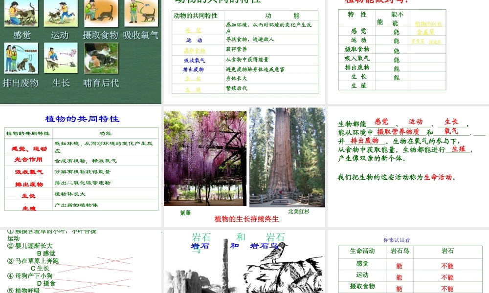 2012年秋七年级生物上册 第一单元 第一章 第一节 生物的基本特征课件 济南版