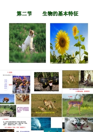 2012年秋七年级生物上册 第一单元 第一章 第一节 生物的基本特征课件 济南版