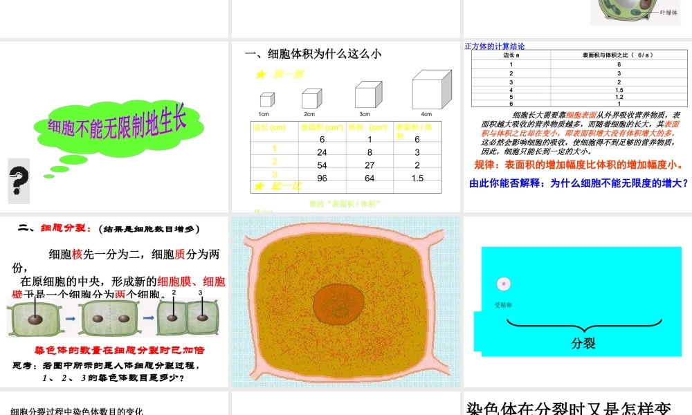 2012年秋七年级生物上册 第一节 细胞通过分裂产生新细胞课件 新人教版