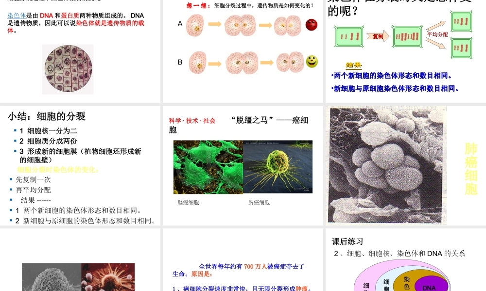 2012年秋七年级生物上册 第一节 细胞通过分裂产生新细胞课件 新人教版