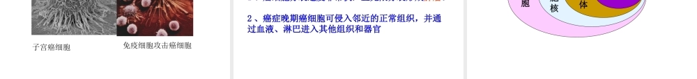 2012年秋七年级生物上册 第一节 细胞通过分裂产生新细胞课件 新人教版