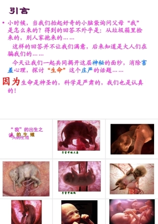 2012年秋七年级生物上册 第一章 第二节 人的生殖课件 新人教版