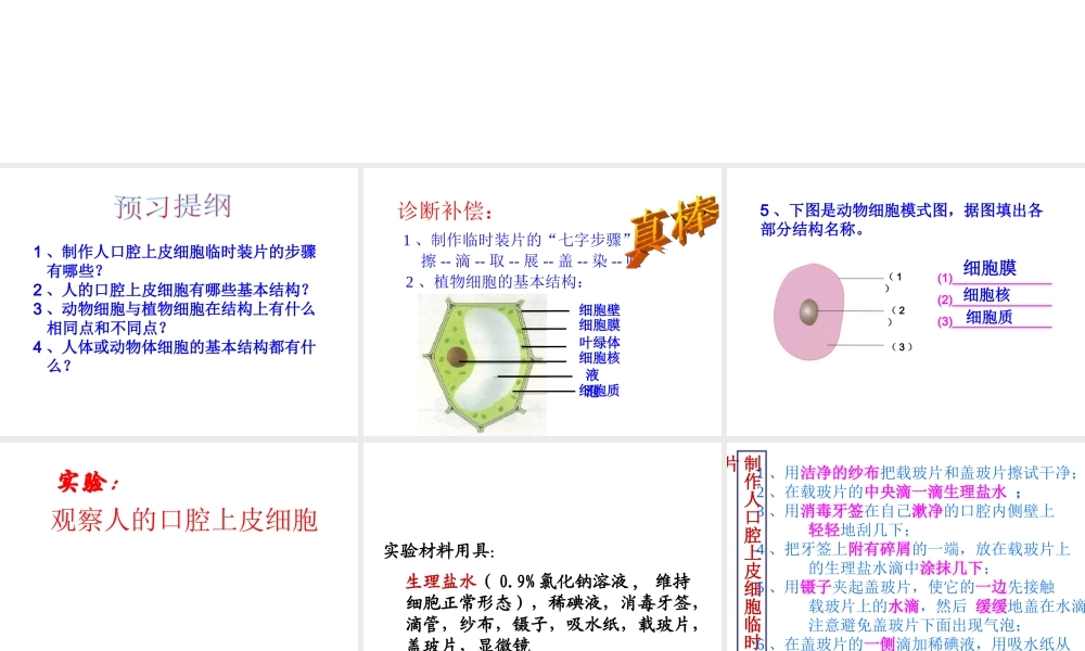 2012年秋七年级生物上册 第一章 细胞是生命的基本单位 第三节 动物细胞课件 新人教版