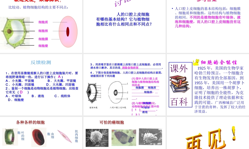 2012年秋七年级生物上册 第一章 细胞是生命的基本单位 第三节 动物细胞课件 新人教版