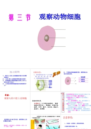 2012年秋七年级生物上册 第一章 细胞是生命的基本单位 第三节 动物细胞课件 新人教版