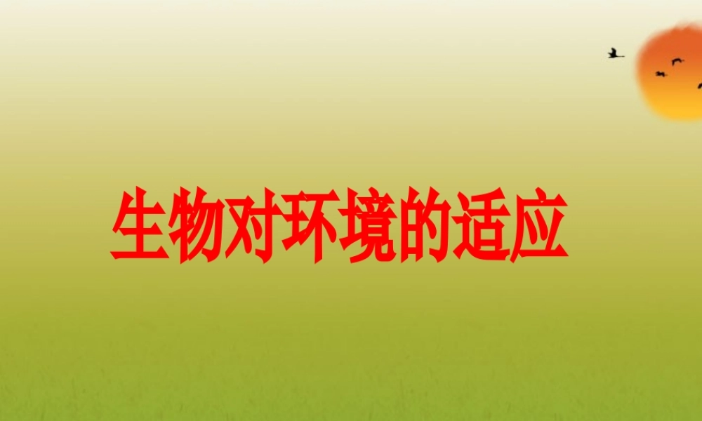 2012年秋七年级生物上册 生物对环境的适应课件 苏科版